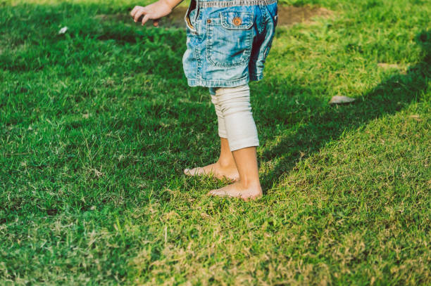 Little girl stepping on green grass barefoot. Lower part of the body.