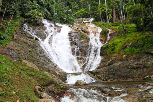 istock Waterfalls at Cameron Highlands, Malaysia 1173254045