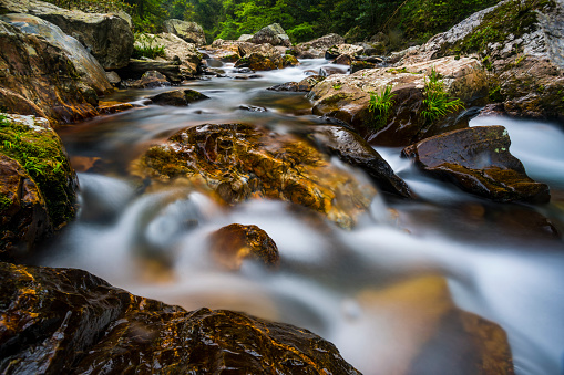 Mountain Stream Flow Through Moss Covered Rocks