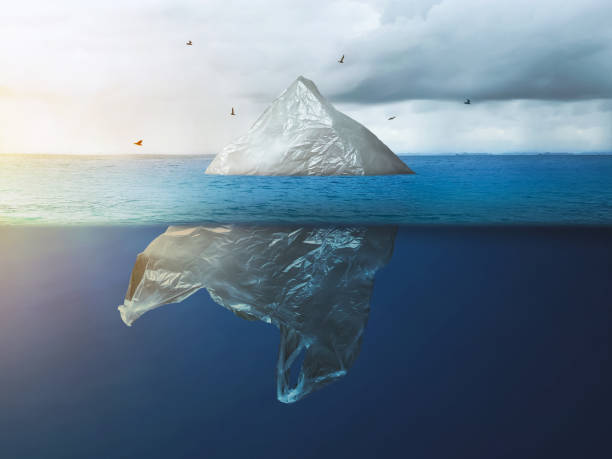 istock Global warming in the Arctic. Plastic bag iceberg with the bird, environment pollution 1173258087
