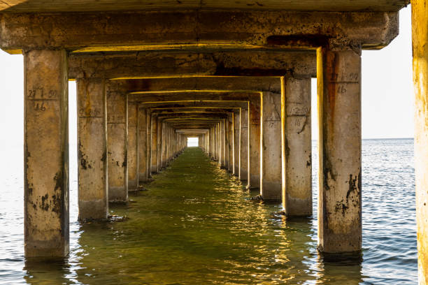 istock View under a long wooden pier with pillars standing in the water 1173258156