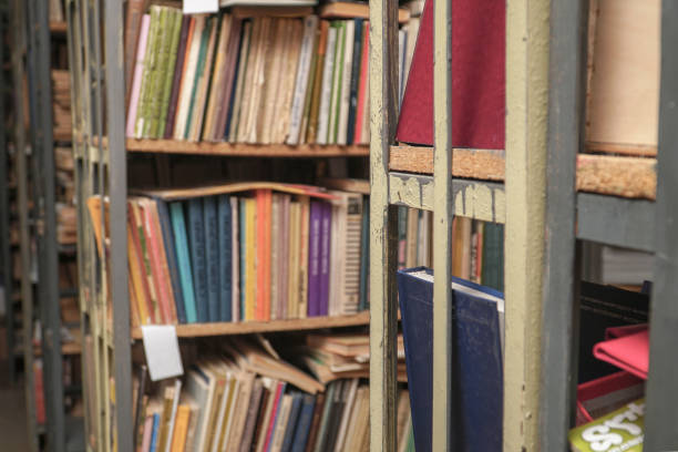 istock Blurred image of old books on bookshelves in library 1173259087