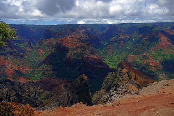 istock Waimea Canyon 895 1173259165