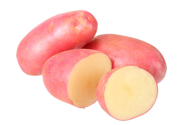 istock Raw red potato with slices isolated on white background 1173261824