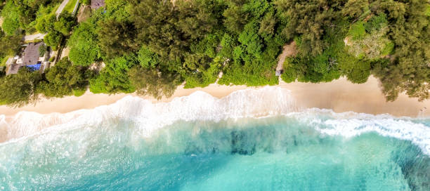istock Overhead panoramic view of beautiful tropical beach with trees 1173262543