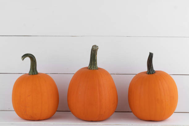 istock Pumpkins on wooden background 1173262672