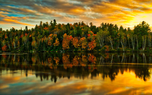 istock Autumn color on Lake Reflexion 1173262811