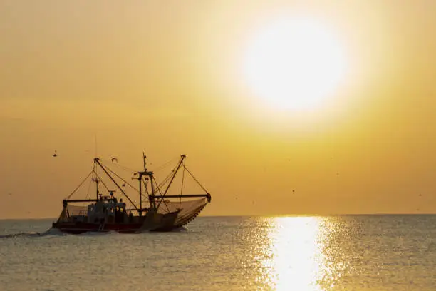 A fish trawler in the North Sea, Waddenzee at sunset on the island of Ameland