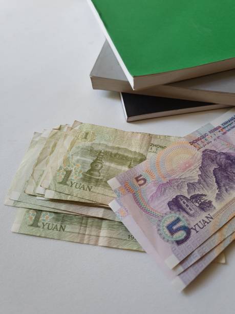 istock Chinese banknotes and stacked books 1173264112