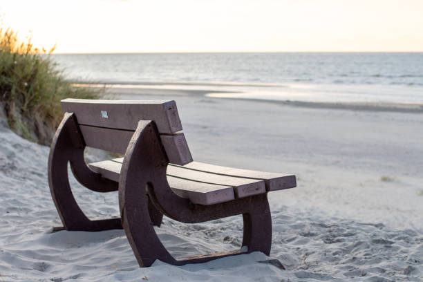 istock Traveling Ameland Summer 2019 1173264885