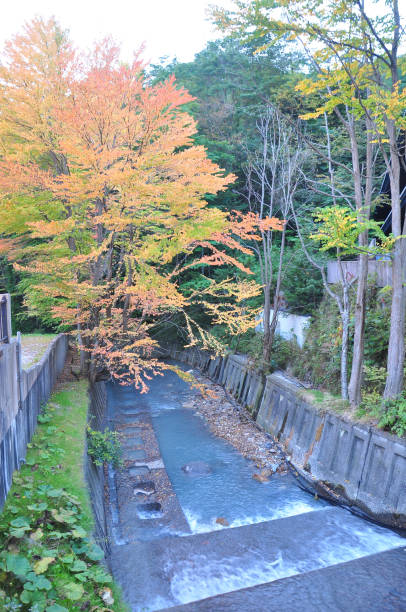 istock Shikotsu-Toya Nation Park 1173266073