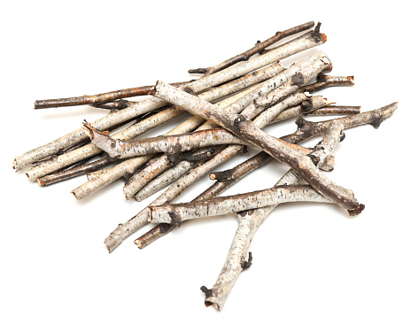 Pile of birch sticks isolated on white background