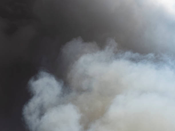 istock Smoke From Grass Field Fire Gray White Sky 1173269647
