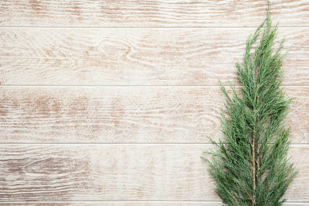 istock Christmas composition with pine cones, fir branches on wooden beige background. Flat lay, top view 1173269836