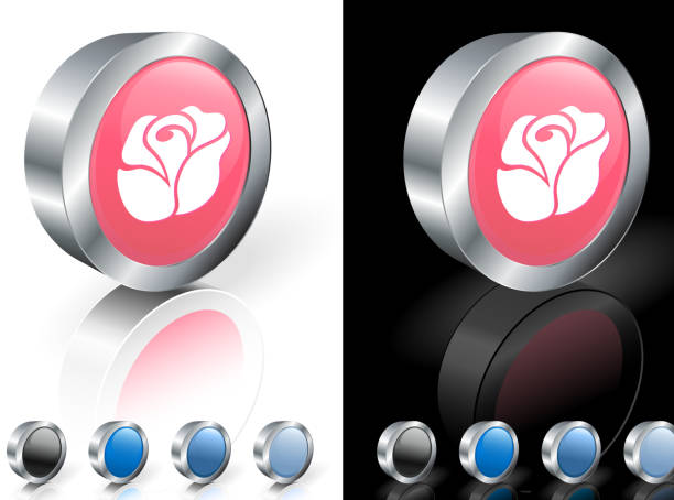 pink rose 3D royalty free vector art. pink rose 3D icon blue rose against black background stock illustrations
