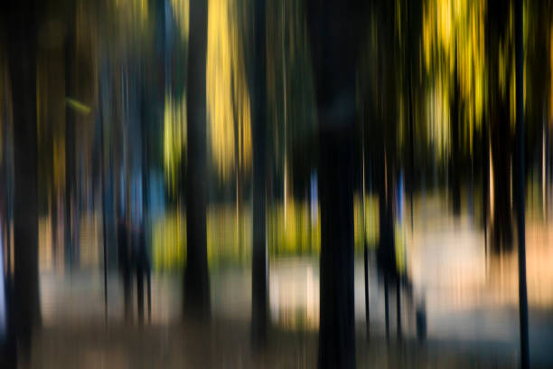 Blurry distorted trees and people in the park