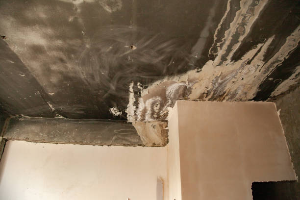 istock the ruined room ceiling background 1173275519