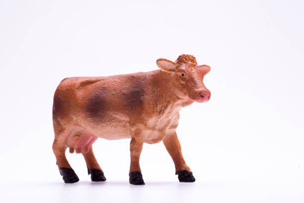 고립 된 흰색 배경에 장난감 미니어처 암소 - brown white cattle cow 뉴스 사진 이미지