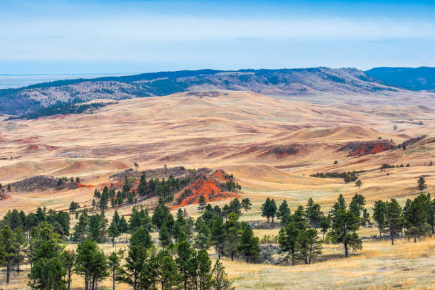 A beautiful overlooking view of nature in Wind Cave National Park, South Dakota stock photo