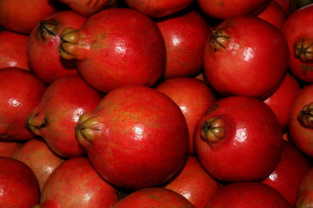 istock The Pomegranate (Punica granatum) is a fruit-bearing deciduous shrub or small tree growing to 5?? m tall.