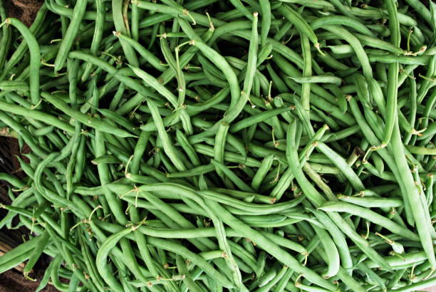 istock Srawani ghevda, (Fresh Green Beans), Sinhagad Market, India.