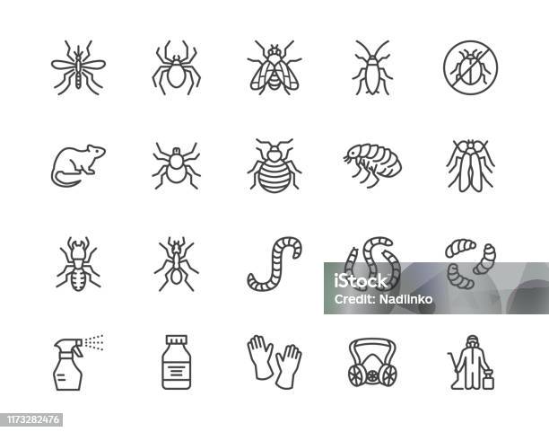 Pest Control Flat Line Icons Set Insects Mosquito Spider Fly Cockroach Rat Termite Spray Vector Illustrations Outline Signs For Disinfection Service Pixel Perfect 64x64 Editable Strokes Stock Illustration - Download Image Now