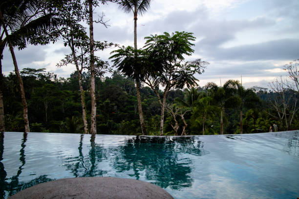 istock A luxury infinity pool in a tropical resort 1173284760
