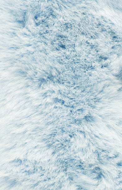 istock long fibre soft fur texture blue color. background full frame. copy space 1173289089