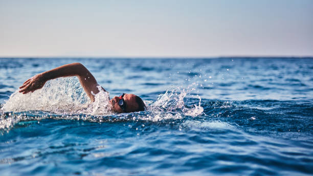 istock Swimmer training on the open sea / ocean. 1173289461
