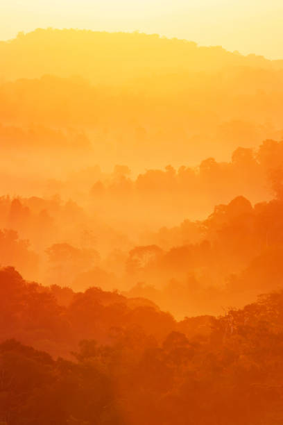 istock Wonderful autumn mountain in the morning mist. 1173291243