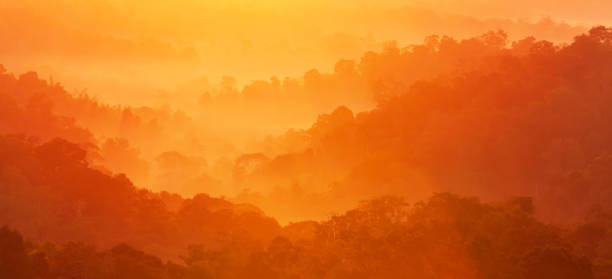 Wonderful autumn mountain in the morning mist.