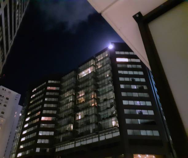 istock Auckland City from Hotel Room 1173292884
