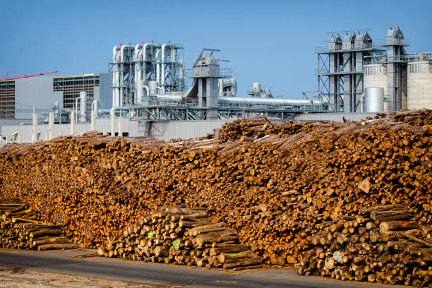 istock Factory producing chipboard for furniture 1173292961