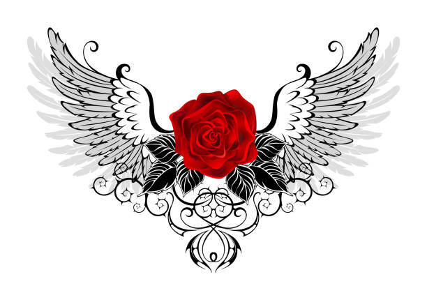 Angel red rose Red, blooming rose with gray, contoured angel wings, decorated with  black pattern on white background. angels tattoos stock illustrations