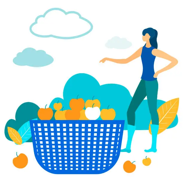 Vector illustration of Woman Stand near Full Basket with Apples in Garden