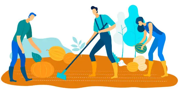 Vector illustration of Workers Harvest Farm. Grow Vegetables and Fruits.