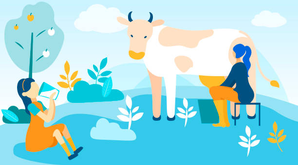 ilustrações de stock, clip art, desenhos animados e ícones de woman milks cow and girl drinks fresh milk. vector - business styles foods and drinks drinking