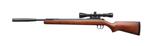 istock Air rifle isolated on white background. Pneumatic gun. 1173301019