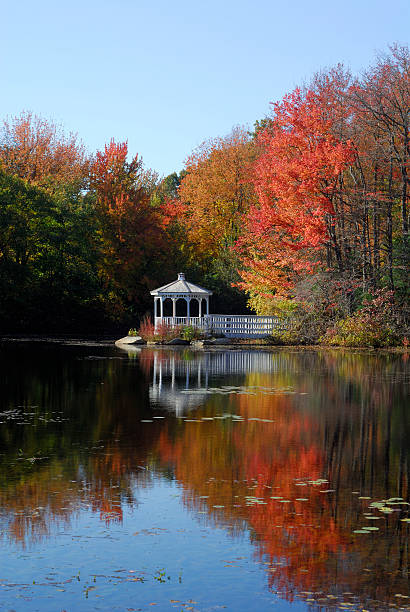 istock Gazebo on the Pond, Autumn Scene 117330964