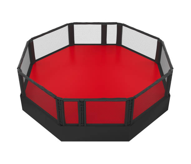 istock MMA Fight Cage Arena Isolated 1173313812