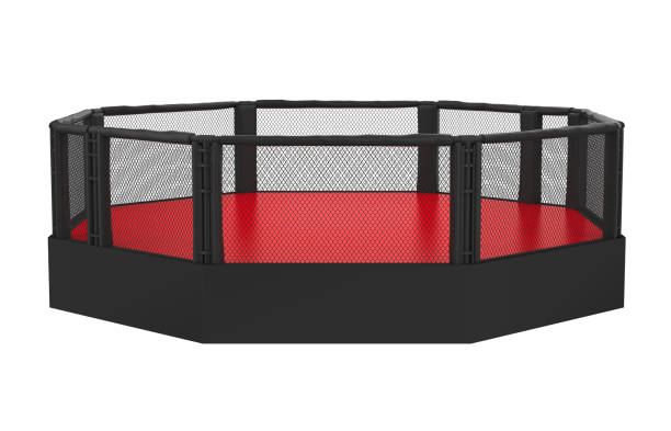 istock MMA Fight Cage Arena Isolated 1173313924