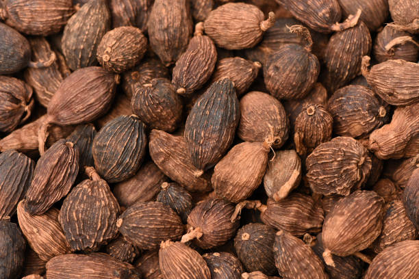 istock Black cardamom on a white background 1173314856