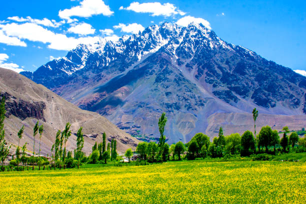 istock Pakistani Lakes & Landscape 1173322910