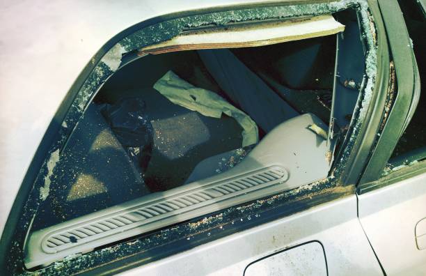 istock A tree fell on a car during a hurricane. Broken tree on a car close-up 1173323566