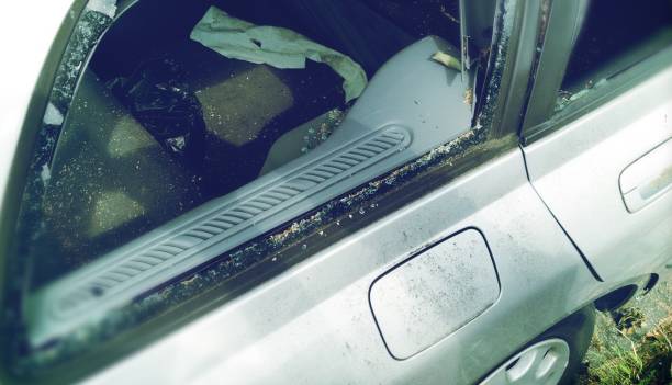 istock A tree fell on a car during a hurricane. Broken tree on a car close-up 1173323568