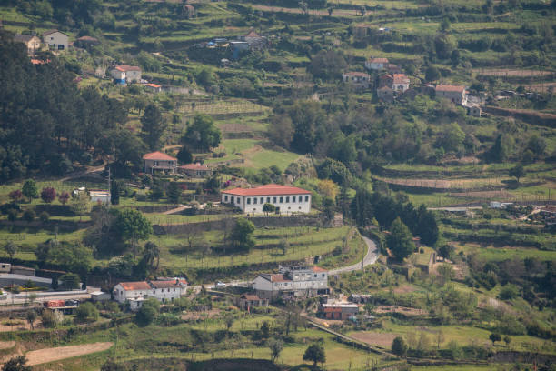 istock EUROPE PORTUGAL DOURO LANDSCAPE 1173323719