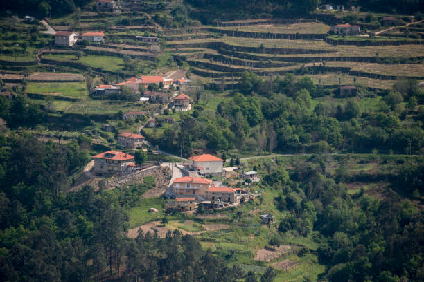istock EUROPE PORTUGAL DOURO LANDSCAPE 1173323748