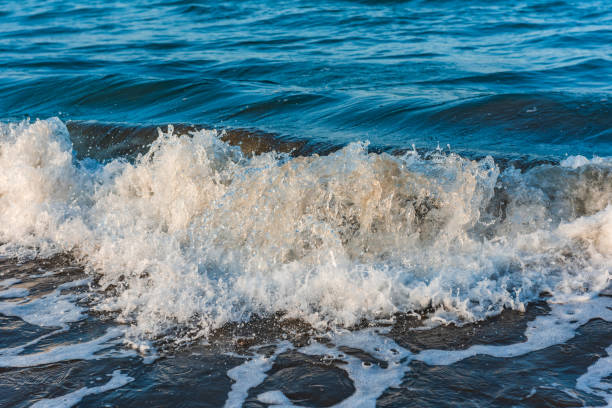 istock Sea shore with small waves 1173324750