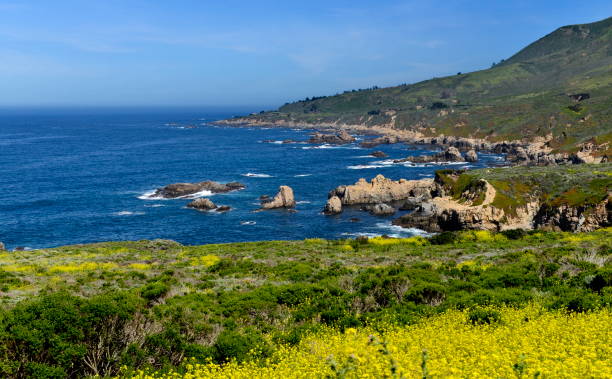 istock Beautiful coastline scenery with ocean waves and rocks on Pacific Coast 1173325063