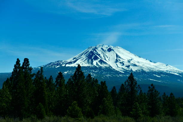 istock Forest and snow mountain with blue sky 1173325121